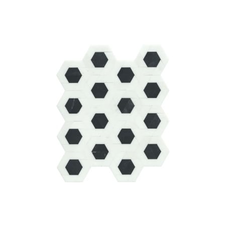 Emser Tile Sample Only of F67BIZO-1113MDMP White / Black