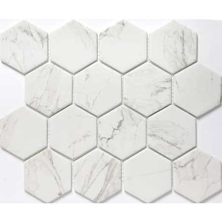 Emser Tile Sample Only of W87ECHO1012MH3 Calacata