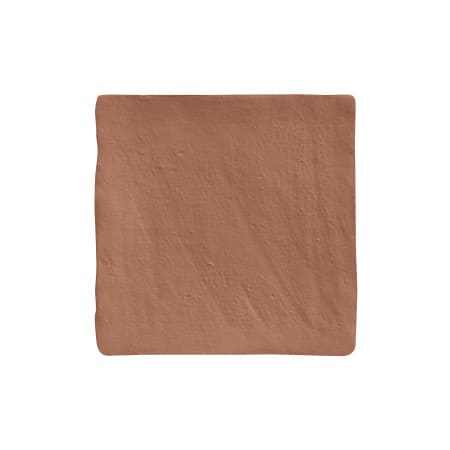 Emser Tile Sample Only of W21HUES-0404 Brown