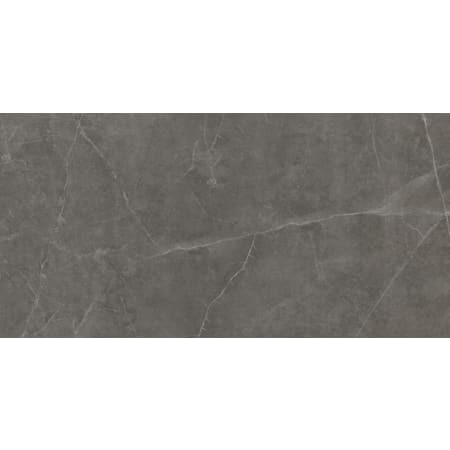 Emser Tile Sample Only of F20STER-1224 Asphalt