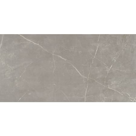 Emser Tile Sample Only of F20STER-1224 Dove