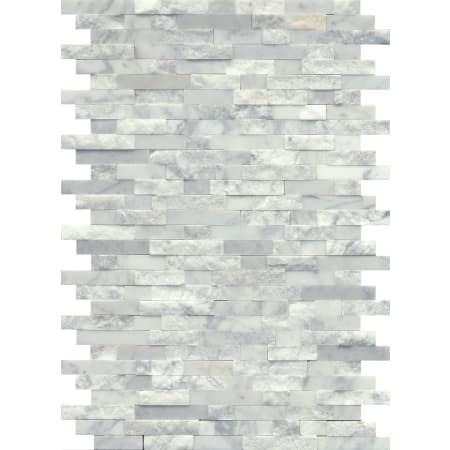 Alternate View