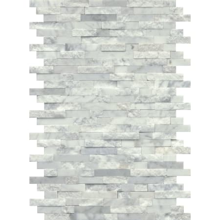 Alternate View