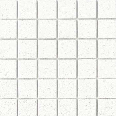 Emser Tile Source - 12" x 12" Square Mosaic Floor and Wall Tile - Matte Concrete Visual - Sold by Piece (0.94 SF/Sheet) Pure White Salt / Pepper