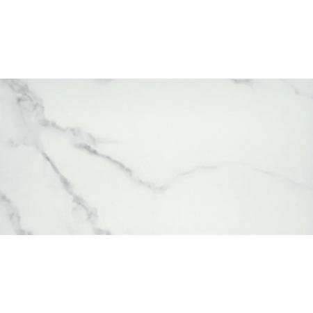 Emser Tile Contessa - 11-13/16" x 23-5/8" Rectangle Floor and Wall Tile - Matte Visual - Sold by Carton (17.44 SF/Carton) Dama