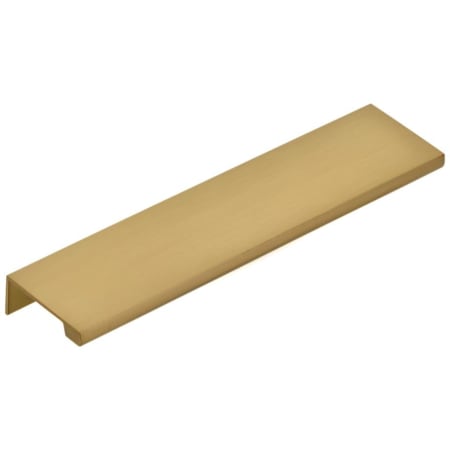 Satin Brass