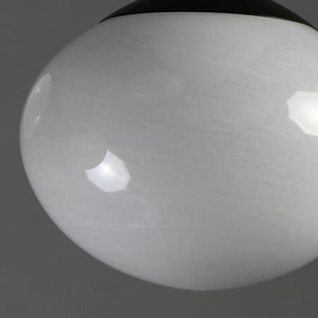 Alternate Image