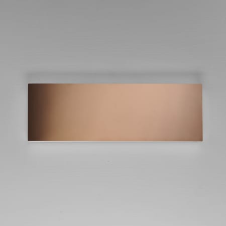 Alternate Image