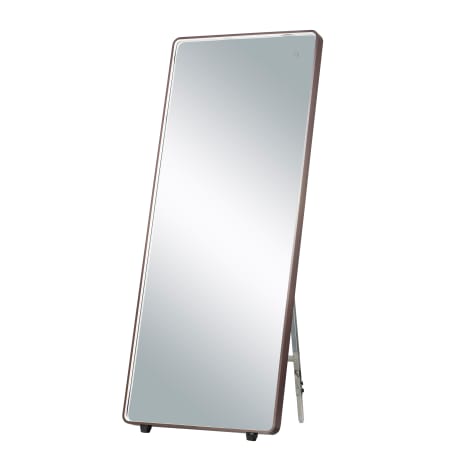 ET2 Mirror 27-1/2" W x 67" H Contemporary Rectangular Stainless Steel Framed Bathroom Mirror with LED Lighting Anodized Bronze