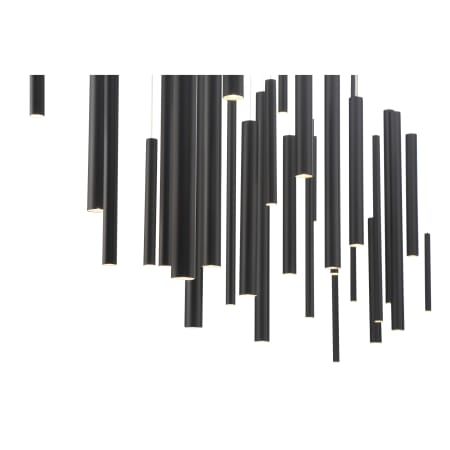 Alternate Image
