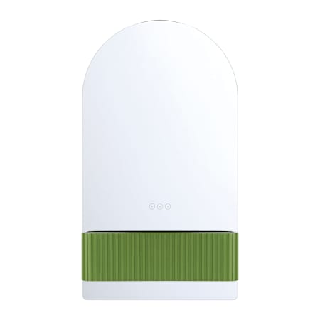 Eurofase Lighting Erabel 20"W x 36"H Arched Flat Frameless Wall Mounted Bathroom Mirror with Lighting Tendril Green