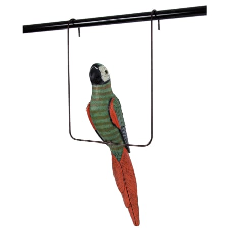 Parrot Detail