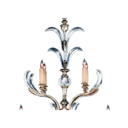 Alternate Image