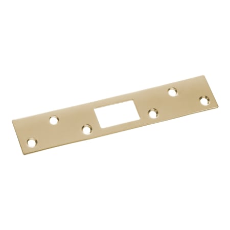 Polished Brass