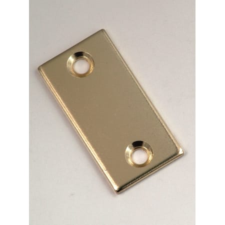 First Watch Rectangular Filler Plate for Unused Latch Face Cutouts Polished Brass