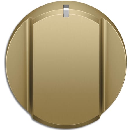 Fisher and Paykel Professional Knob Kit for Gas Range (10-Pack) Brass