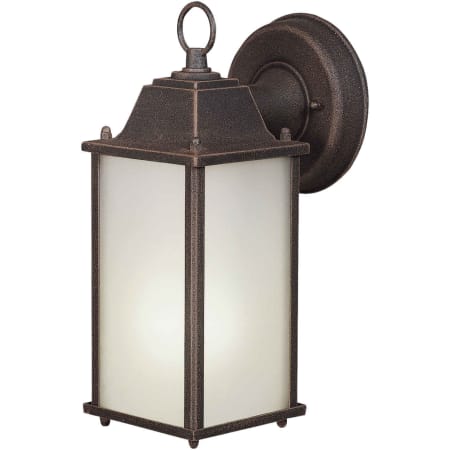 Forte Lighting Energy Efficient Fluorescent 4.5Wx10.5Hx6E Outdoor Wall Sconce Painted Rust