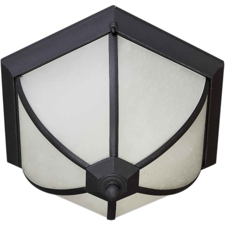 Forte Lighting Energy Efficient Transitional Outdoor Ceiling Fixture Black