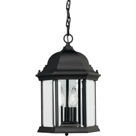 Forte Lighting Outdoor Pendant from the Exterior Lighting Collection Black