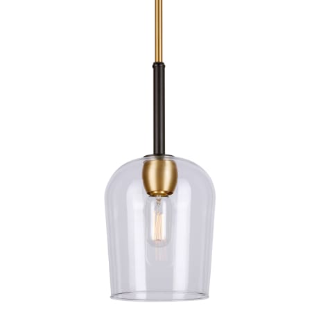 Forte Lighting Palmer 7" Wide Mini Pendant Black and Soft Gold