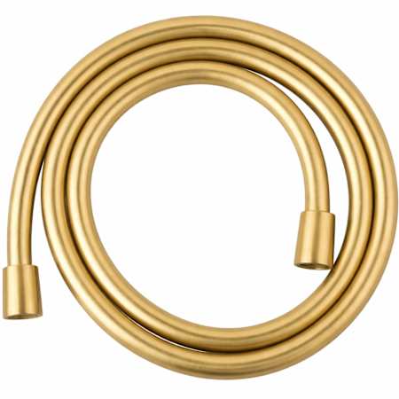 Fortis 60" Hand Shower Hose Brushed Gold