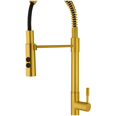 Fortis Marcus 1.8 GPM Single Hole Pre-Rinse Pull Down Kitchen Faucet - Includes Escutcheon Brushed Gold