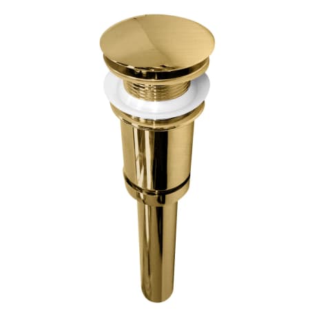 Fortis Scala Pop-Up Drain Assembly Brushed Gold