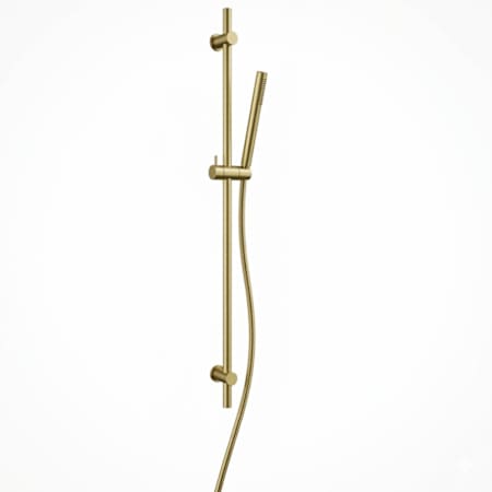 Fortis Rilassante 36" Wall Mounted Slide Bar with Hand Shower Brushed Gold