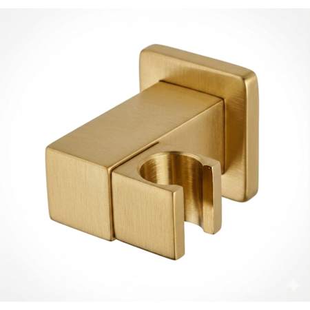 Fortis Scala Wall-Mount Hand Shower Holder Brushed Gold