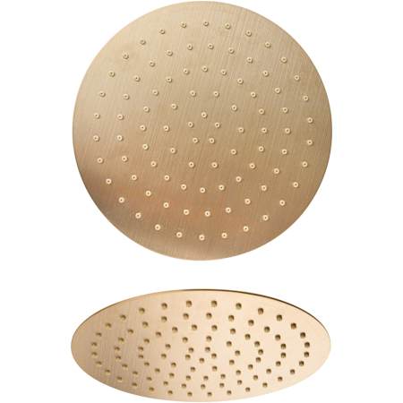 Fortis Rilassante 12" Round 1.8 GPM Single Function Rain Shower Head Brushed Gold
