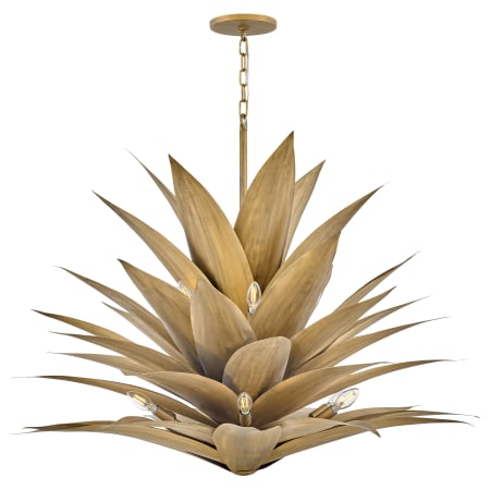 Chandelier with Canopy