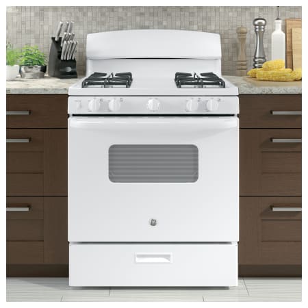 GE-JGBS10DK-Application
