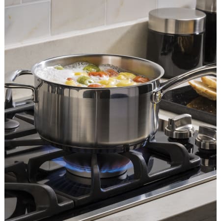 GE-JGP5530-Burner Detail
