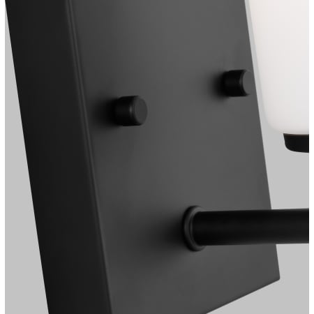 Alternate Image