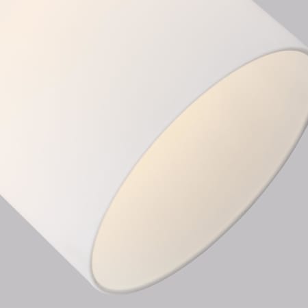 Alternate Image