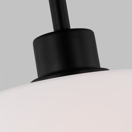 Alternate Image