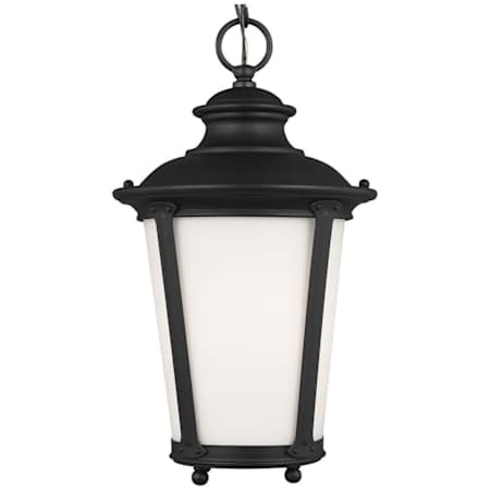 Generation Lighting Cape May 9" Wide LED Outdoor Mini Pendant Black