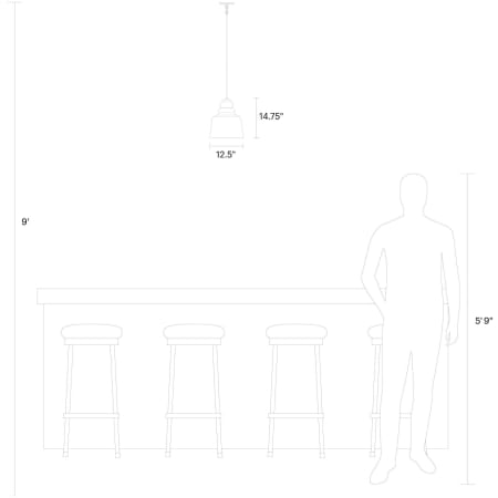 Alternate Image