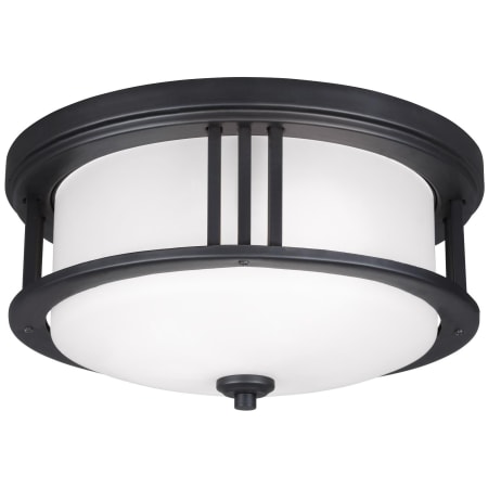 Generation Lighting Crowell 2 Light 14" Wide Outdoor Flush Mount Drum Ceiling Fixture Black