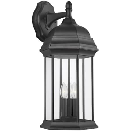 Alternate Image