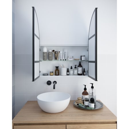Glass Warehouse Aria 30" x 34" Framed Double Door Medicine Cabinet Matte Black