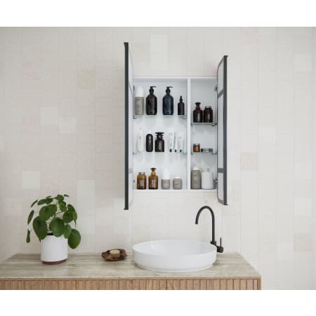 Glass Warehouse Calla 24" x 36" Framed Double Door Medicine Cabinet Matte Black