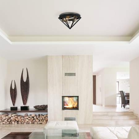 Application Image