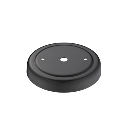 Golden Lighting-0305-S-Canopy