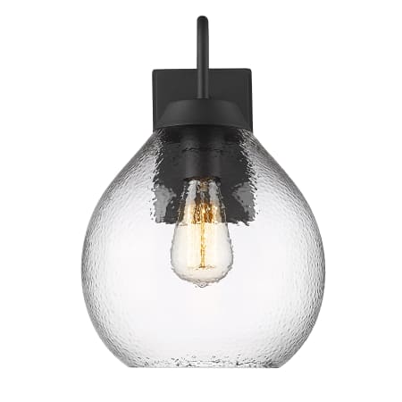 Golden Lighting Ariella 15" Tall Wall Sconce with Hammered Glass Shade Natural Black