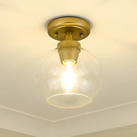 Alternate View
