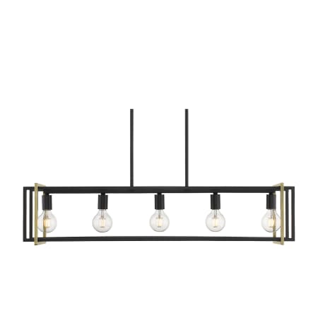 Golden Lighting Tribeca 5 Light 41" Wide Linear Chandelier Black / Aged Brass