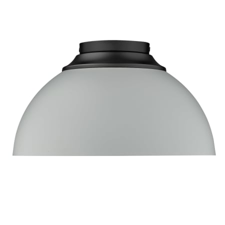 Alternate View