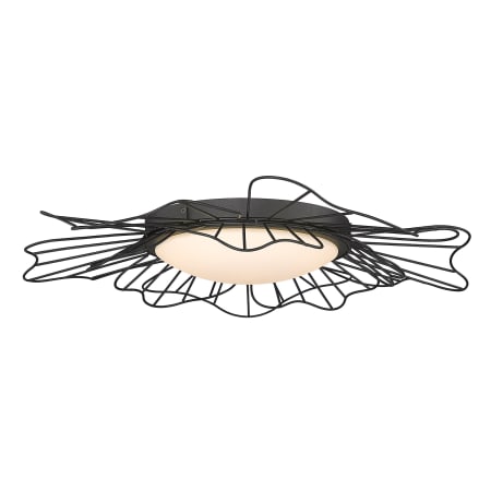 Alternate Image