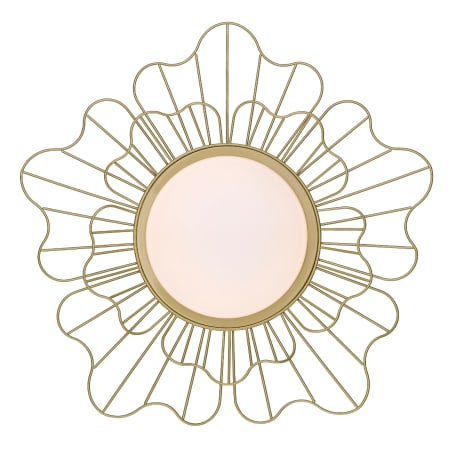 Alternate Image